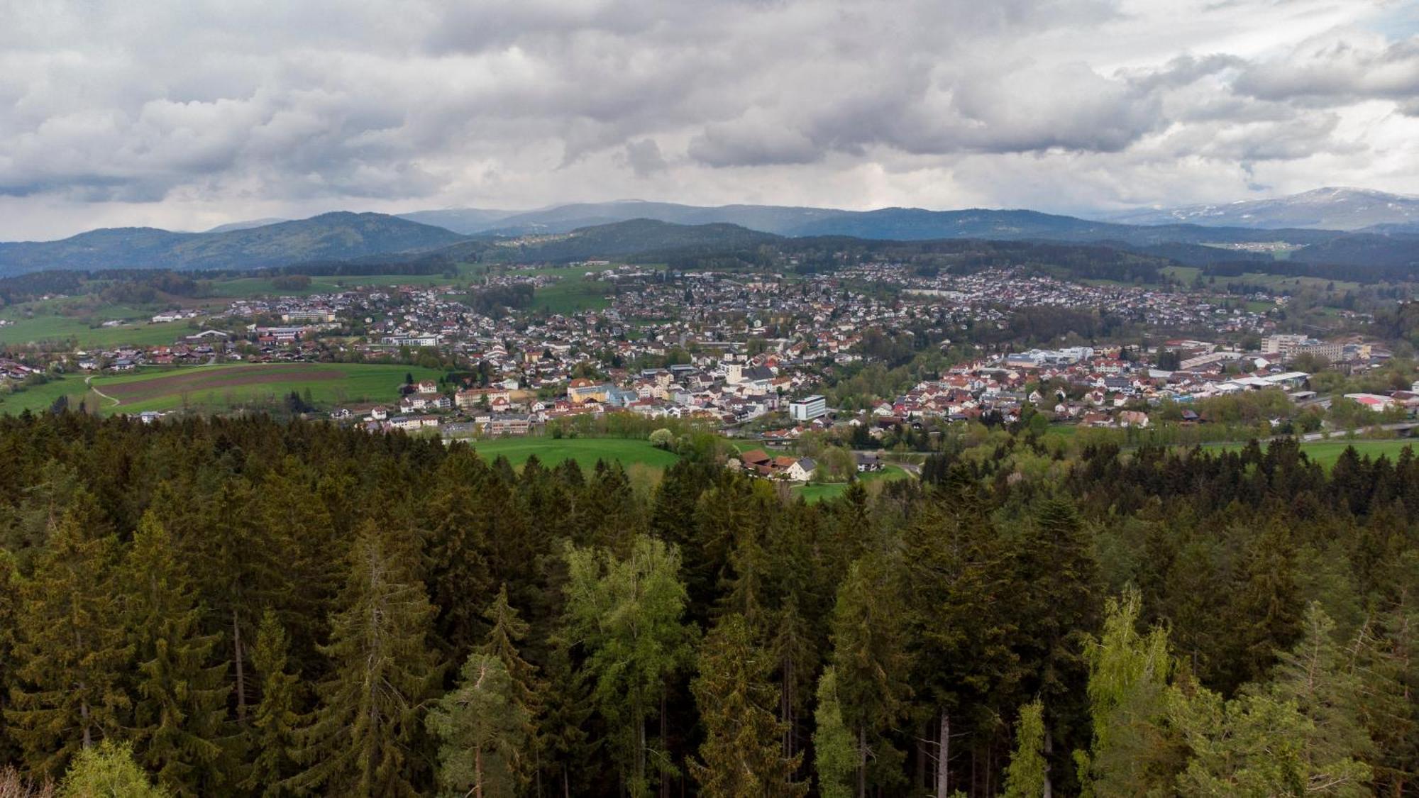 Bayerwaldchalet Regen Dış mekan fotoğraf